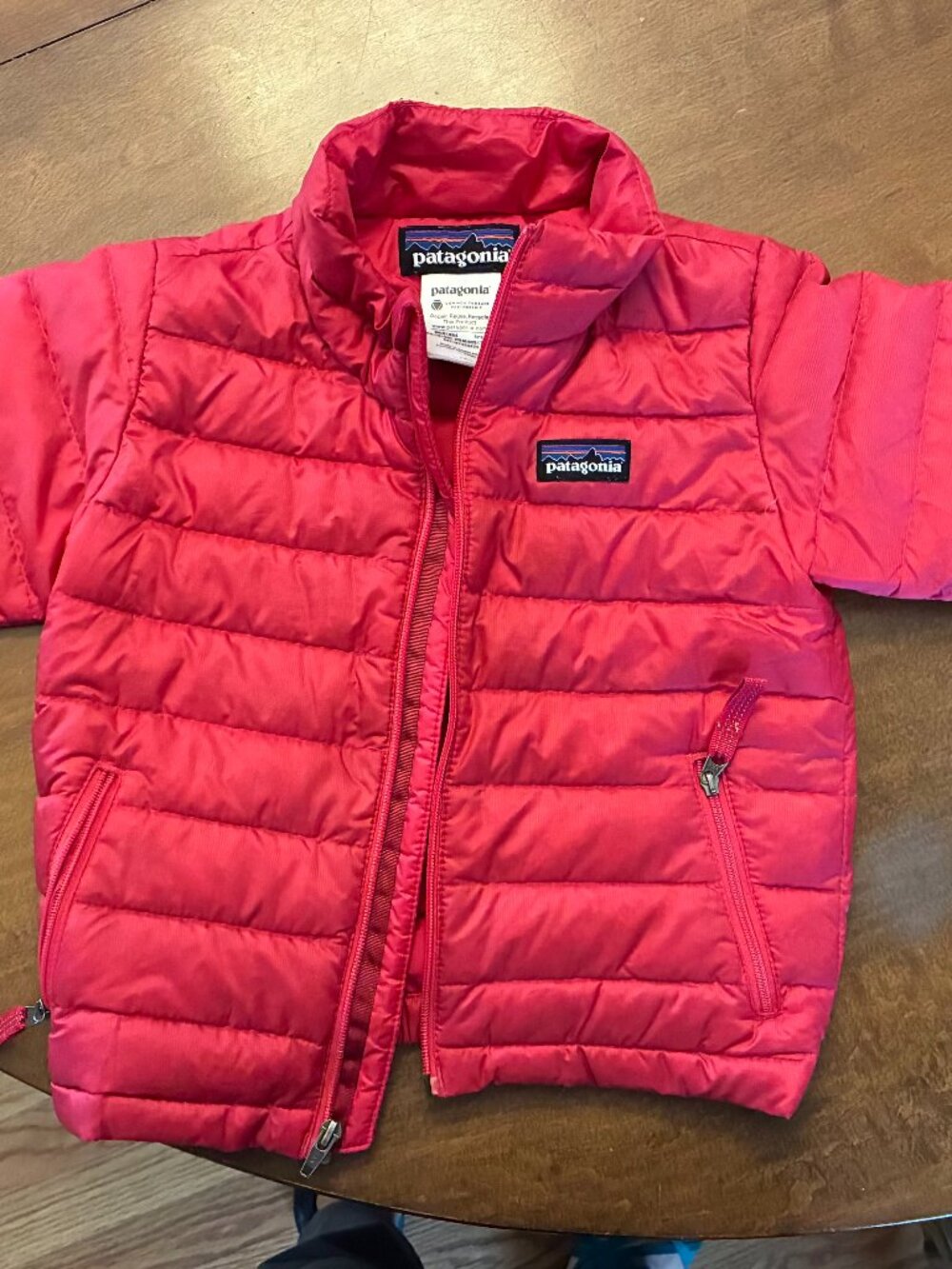 Patagonia Kids Puffer Jacket